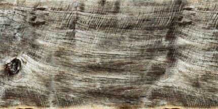 Ahşap Model MP-25 1 Ahşap Model MP-25